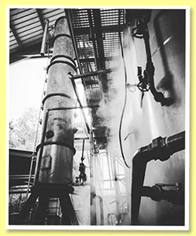 Engenho Novo Distillery Engenho Novo Distillery