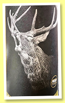 Secret Islay Distillery 13 yo 2009/2023 (54.2%, Acla Selection, 10th anniversary, hogshead, cask #104, 90 bottles) Secret Islay Distillery 13 yo 2009/2023 (54.2%, Acla Selection, 10th anniversary, hogshead, cask #104, 90 bottles)