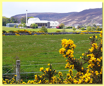 Clynelish Clynelish