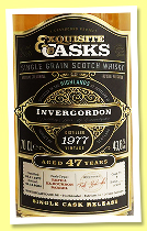 Invergordon 47 yo 1977/2025 (43.6%, The Caskhound, refill bourbon barrel, cask #7, 204 bottles) Invergordon 47 yo 1977/2025 (43.6%, The Caskhound, refill bourbon barrel, cask #7, 204 bottles)